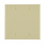 2-Gang No-Device Blank Electrical Wall Plate, Box Mount (Ivory)