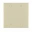 2-Gang No-Device Blank Electrical Wall Plate, Box Mount (Light Almond)