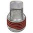 Plug - Pipe Fitting (1/8"), 81-23593-01