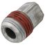 Plug - Pipe Fitting (1/8"), 81-23593-01