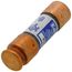 10 Amp Time-Delay Class RK5 Fuse (250V)