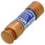 15 Amp Time-Delay Class RK5 Fuse (250V)