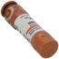 20 Amp Time-Delay Class RK5 Fuse (250V)