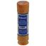 60 Amp Time-Delay Class RK5 Fuse (250V)