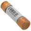60 Amp Time-Delay Class RK5 Fuse (250V)