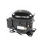 Compressor, Nt2170u 208-230v/60hz, 979681