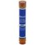 10 Amp Time-Delay Class RK5 Fuse (600V)