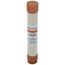 20 Amp Time-Delay Class RK5 Fuse (600V)