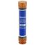 45 Amp Time-Delay Class RK5 Fuse (600V)