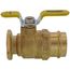 2" Press Full Port Forged Brass Uni-Flange Isolator Flange