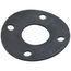 Flange Gasket, Manifold, Water for Revolution Boilers, 8206056
