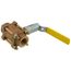 3/4" FNPT 3-Piece Ball Valve w/ Stainless Steel Vented Ball & 2-1/4" Stem