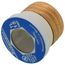 15 Amp UL Dual Element Time Delay, Type TL Plug Fuse (125V)