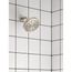 Rinza Spot Resist Posi-Temp Tub/shower, 82628SRN (Brushed Nickel)