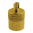 Protective Cap - Brass w/Core Removal Tool, 83-CD2250-6PK