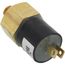 Switch, Water Pressure 1/8 BSP, 83223