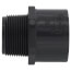 1-1/4" PVC Schedule 80 Male Adapter (MIPT x S)