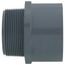 2" CPVC Schedule 80 Male Adapter (MPT x Socket)