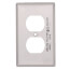 1-Gang Electrical Wall Plate, Non-Magnetic, Duplex Receptacle (Stainless Steel)