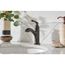 Single Handle Monoblock Bathroom Sink Faucet, 84535BRB (Mediterranean Bronze)
