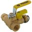 3/4" Pro-Pal Press x FIP Full Port Ball Valve w/ Hi-Flow Hose Drain, Adj. Packing Glands, Rev. Handle