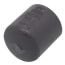 1/4" PVC Schedule 80 Cap (Socket)