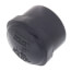 1/2" PVC Schedule 80 Cap (FPT)