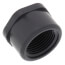 3/4" PVC Schedule 80 Cap (FPT)