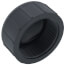 2" PVC Schedule 80 Cap (FPT)