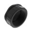 3" PVC Schedule 80 Cap (FPT)
