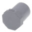 1/2" CPVC Schedule 80 Plug (Spigot)