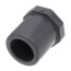 3/4" PVC Schedule 80 Plug (Spigot)