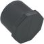 1-1/2" PVC Schedule 80 Plug (Spigot)