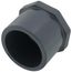 2" PVC Schedule 80 Plug (Spigot)