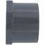2" PVC Schedule 80 Plug (Spigot)