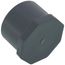 2" PVC Schedule 80 Plug (Spigot)
