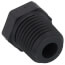 1/4" PVC Schedule 80 Plug