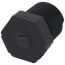 1/4" PVC Schedule 80 Plug