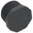 3/4" CPVC Schedule 80 Plug (MIPT)
