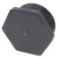 3" PVC Schedule 80 Plug