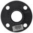 2" PVC Schedule 80 Van Stone Flange w/ PVC Ring (FIPT)