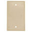 1-Gang No Device Blank Wall Plate, Box Mount (Ivory)
