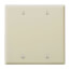 2-Gang No Device Blank Wall Plate, Box Mount (Ivory)