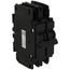 2 Pole Circuit Breaker (30 Amps), 8615-037