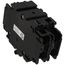 2 Pole Circuit Breaker (30 Amps), 8615-037