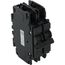 60a 2pole Circuit Breaker, 8615-041