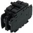 60a 2pole Circuit Breaker, 8615-041