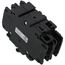 60a 2pole Circuit Breaker, 8615-041