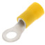 Insulated Solderless Closed Ring Terminal, 12-10 AWG, Stud #10 (12 Pack)