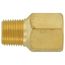 1/2" NPT Brass Pressure Snubber for Water, Steam, Gasoline & Light Oils (Lead Free)